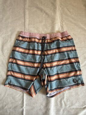 Roark Men's Light Blue Striped Swim Trunks with Pink Waistband